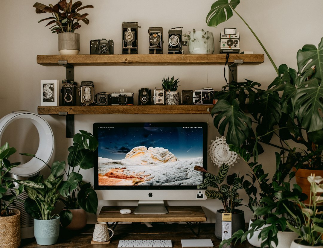 Hands typing on a laptop at a stylish home office desk with plants